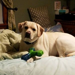 Meet your Posher, Toni